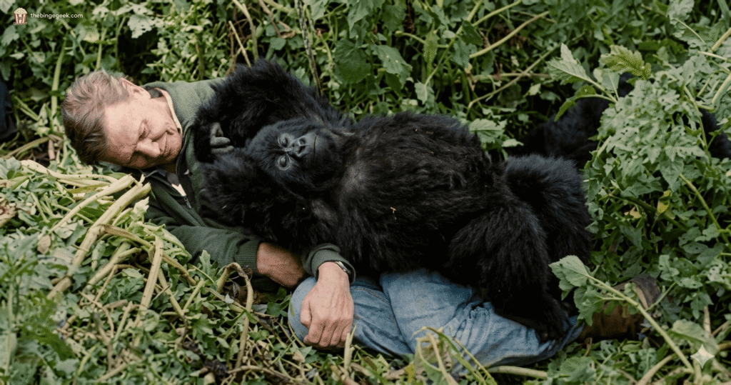 A Gorilla Story: Told by David Attenborough Review – A Quietly Powerful Story of Family & Survival